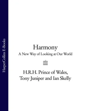 Tony Juniper Harmony: A New Way of Looking at Our World обложка книги