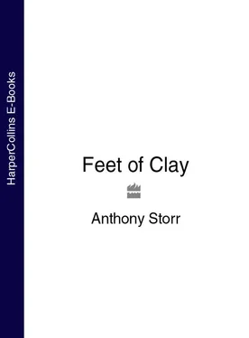 Anthony Storr Feet of Clay обложка книги