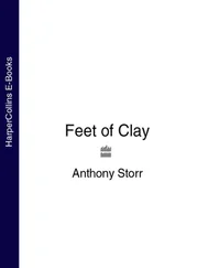 Anthony Storr - Feet of Clay
