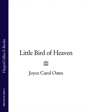 Joyce Oates Little Bird of Heaven обложка книги