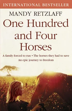 Mandy Retzlaff One Hundred and Four Horses обложка книги