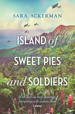 Sara Ackerman Island Of Sweet Pies And Soldiers: A powerful story of loss and love обложка книги