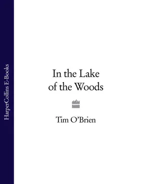 Tim O’Brien In the Lake of the Woods обложка книги