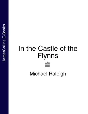 Michael Raleigh In the Castle of the Flynns обложка книги