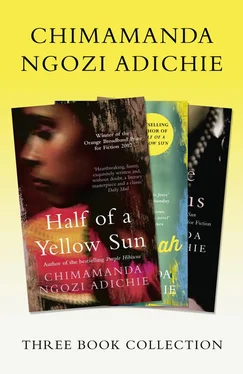 Chimamanda Ngozi Adichie Half of a Yellow Sun, Americanah, Purple Hibiscus: Chimamanda Ngozi Adichie Three-Book Collection обложка книги