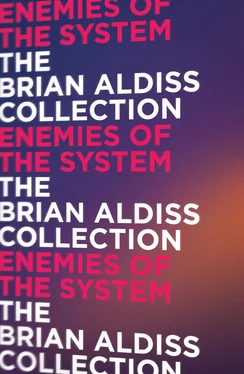 Brian Aldiss Enemies of the System обложка книги