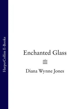 Diana Jones Enchanted Glass обложка книги