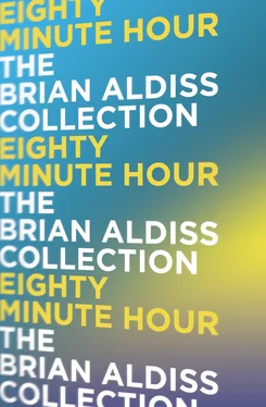 Brian Aldiss Eighty Minute Hour обложка книги