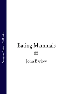 John Barlow Eating Mammals обложка книги