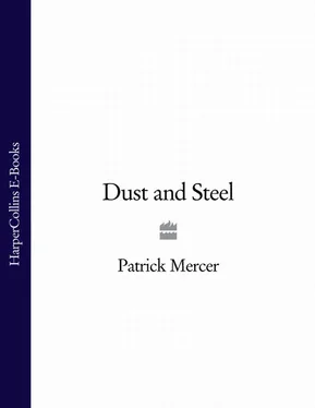 Patrick Mercer Dust and Steel обложка книги