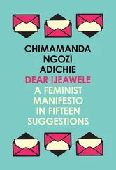 Chimamanda Ngozi Adichie - Dear Ijeawele, or a Feminist Manifesto in Fifteen Suggestions