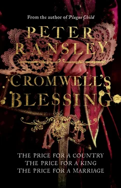 Peter Ransley Cromwell’s Blessing обложка книги