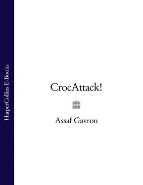 Assaf Gavron CrocAttack! обложка книги