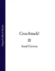 Assaf Gavron - CrocAttack!