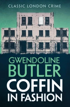 Gwendoline Butler Coffin in Fashion обложка книги