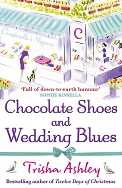 Trisha Ashley Chocolate Shoes and Wedding Blues обложка книги