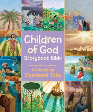 Archbishop Tutu Children of God Storybook Bible обложка книги