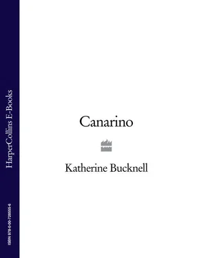 Katherine Bucknell Canarino обложка книги