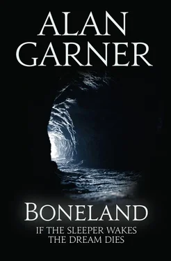 Alan Garner Boneland обложка книги