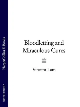 Vincent Lam Bloodletting and Miraculous Cures обложка книги