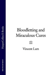 Vincent Lam - Bloodletting and Miraculous Cures