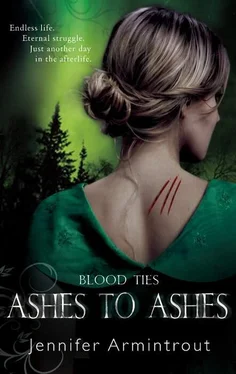 Jennifer Armintrout Blood Ties Book Three: Ashes To Ashes обложка книги