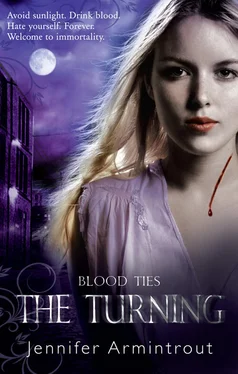 Jennifer Armintrout Blood Ties Book One: The Turning обложка книги