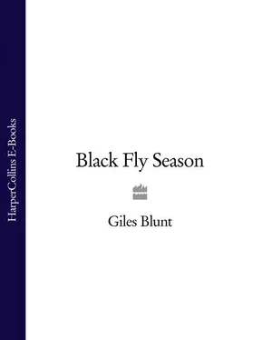 Giles Blunt Black Fly Season обложка книги