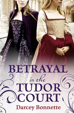 Darcey Bonnette Betrayal in the Tudor Court обложка книги