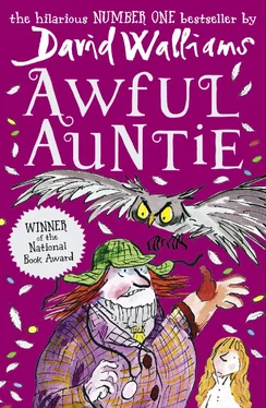 David Walliams Awful Auntie обложка книги