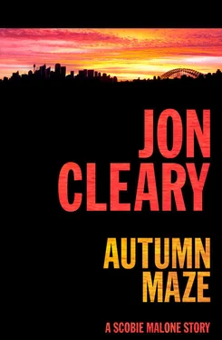 Jon Cleary Autumn Maze обложка книги