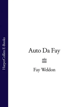 Fay Weldon Auto Da Fay обложка книги