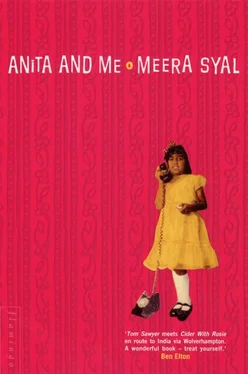Meera Syal Anita and Me обложка книги