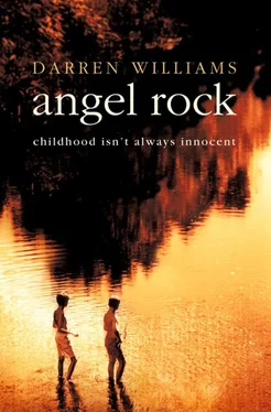 Darren Williams Angel Rock обложка книги