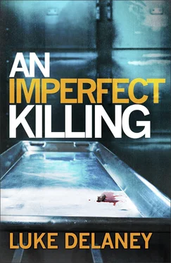 Luke Delaney An Imperfect Killing обложка книги