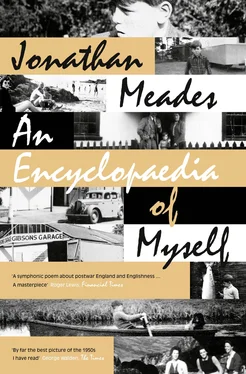 Jonathan Meades An Encyclopaedia of Myself обложка книги