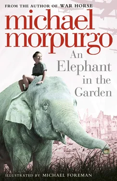 Michael Morpurgo An Elephant in the Garden обложка книги