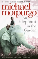 Michael Morpurgo - An Elephant in the Garden