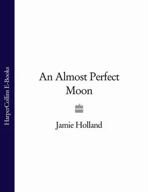 Jamie Holland An Almost Perfect Moon обложка книги