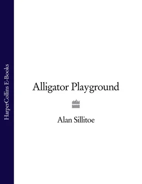 Alan Sillitoe Alligator Playground обложка книги