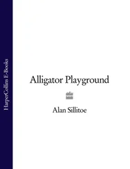 Alan Sillitoe - Alligator Playground