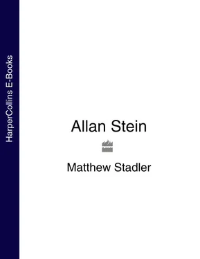 Matthew Stadler Allan Stein обложка книги