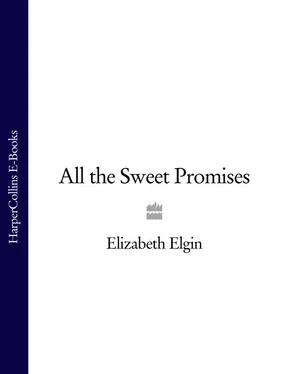Elizabeth Elgin All the Sweet Promises обложка книги