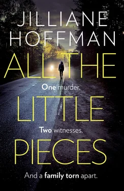 Jilliane Hoffman All the Little Pieces обложка книги