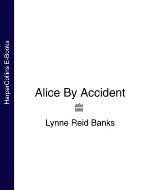 Lynne Banks Alice By Accident обложка книги