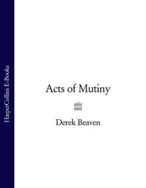 Derek Beaven Acts of Mutiny обложка книги