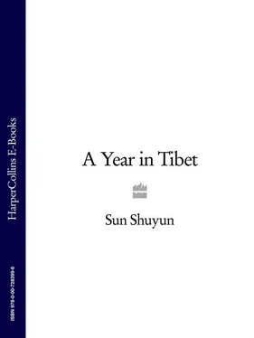 Sun Shuyun A Year in Tibet обложка книги