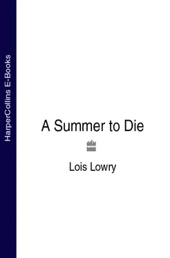 Lois Lowry A Summer to Die обложка книги