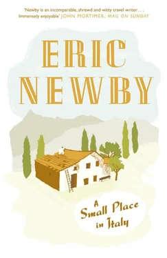 Eric Newby A Small Place in Italy обложка книги