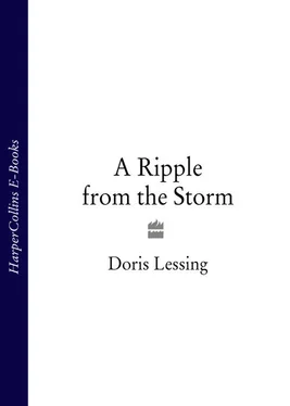 Doris Lessing A Ripple from the Storm обложка книги
